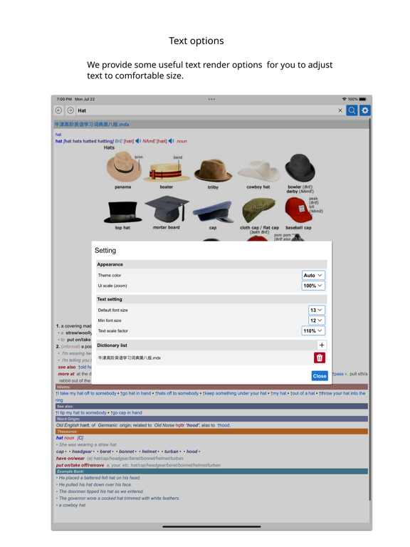 Screenshot #5 pour Simple Dict Mobile