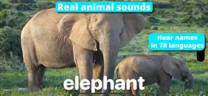 iAnimals Mini: picture book screenshot 1