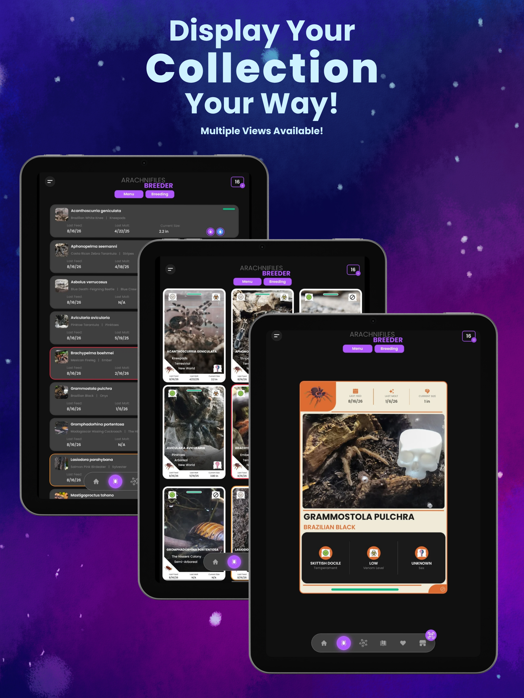 Arachnifiles: Pet Tracker screenshot 14