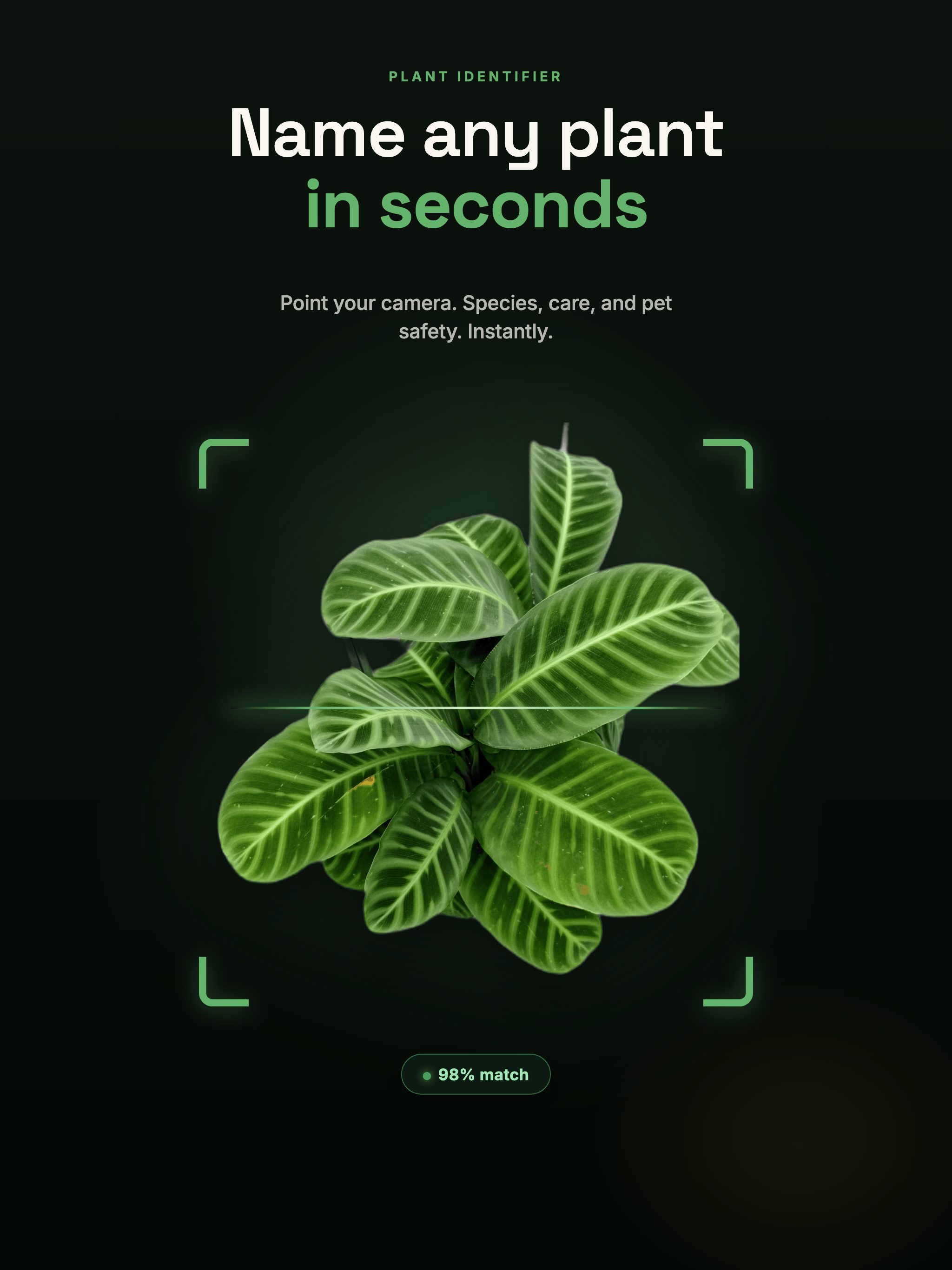 Plant Identifier - Care Tips screenshot 7