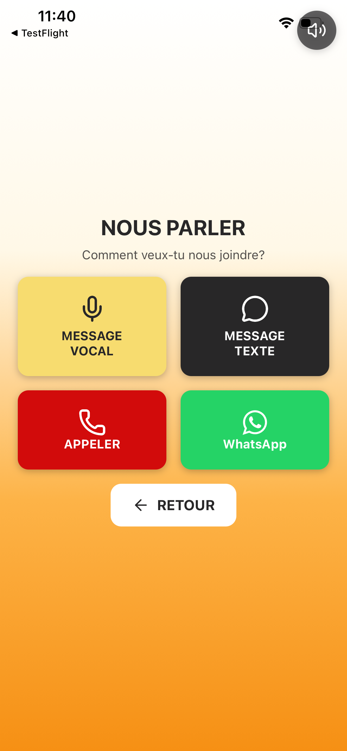 Demeblon screenshot 3