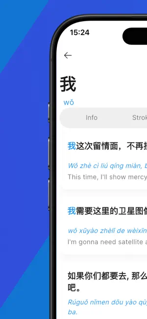 Chinese Dictionary Translate screenshot 4