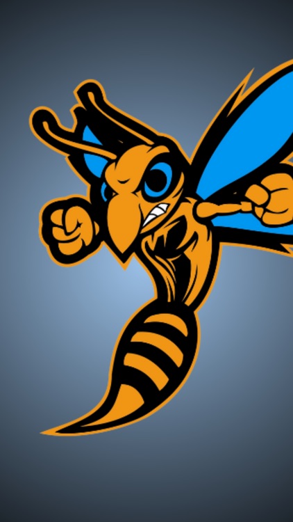 South Gibson County Hornets
