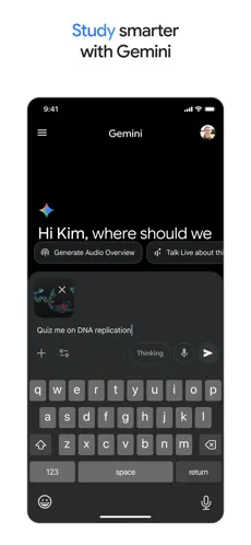 Google Gemini screenshot 4