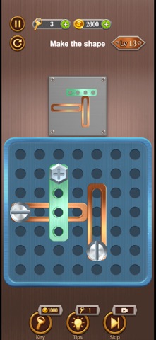 Pin Master-Screwdom Jam Puzzle Screenshot 3 of 3