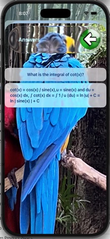 Calculus-Theorems-Problems iPhone screenshot