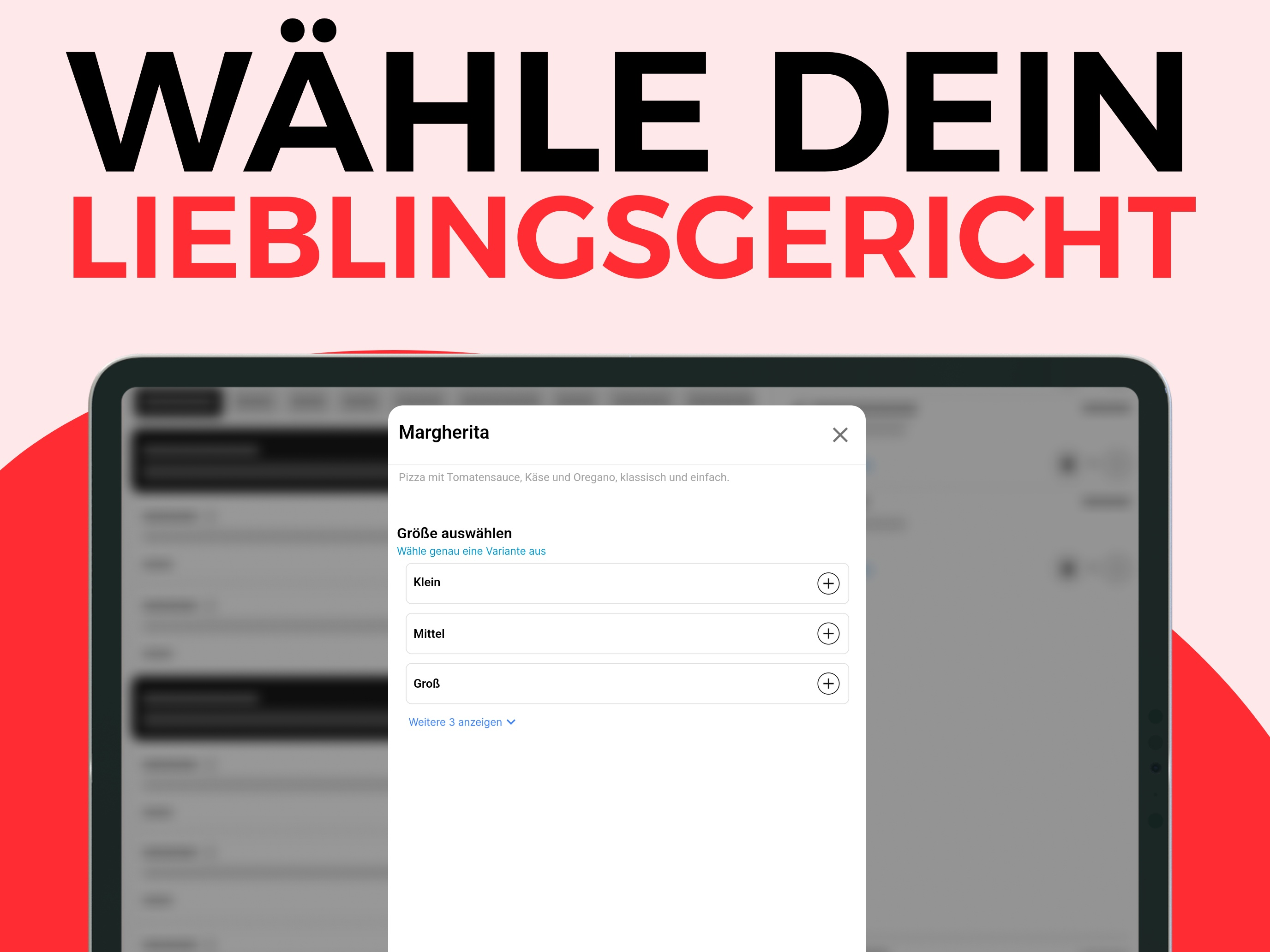Larin Döner Alpen screenshot 9