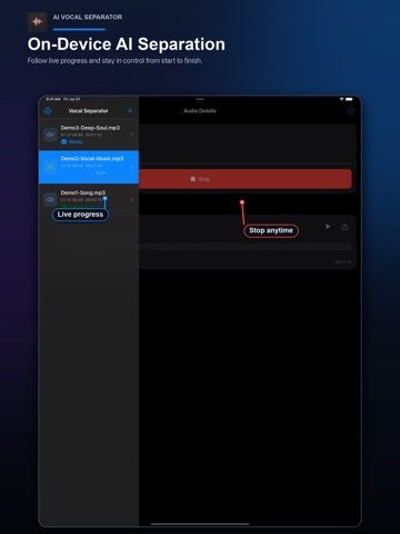 AI Vocal Separator iPad screenshot