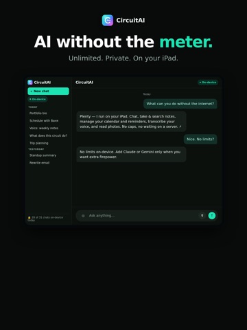 CircuitAI: Private AI Chat iPad screenshot