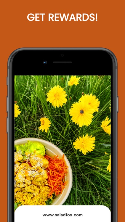 Salad Fox screenshot-4