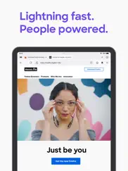 firefox приватный браузер айпад изображения 2