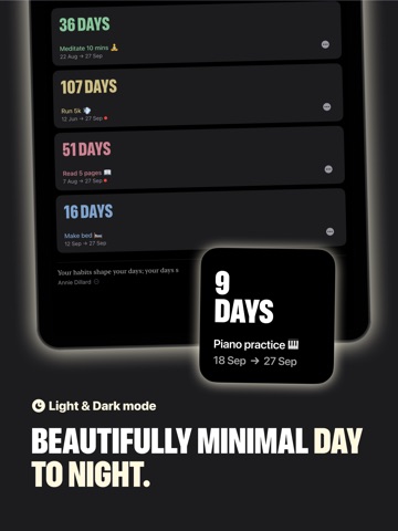 Simple Streak: Habit Tracker iPad screenshot