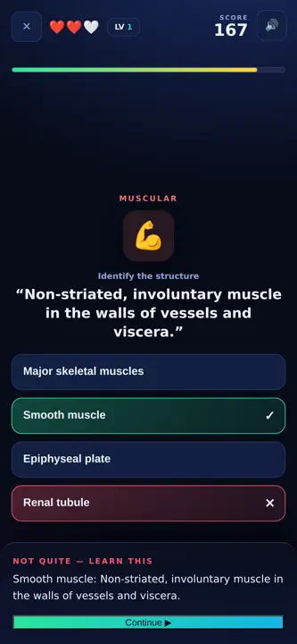 Anatomy Arena screenshot 5