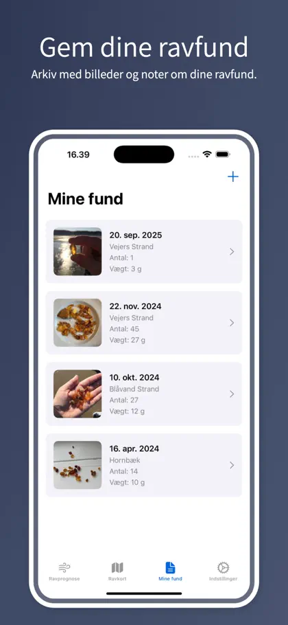 Screenshot 3 di 6 di Ravvejr