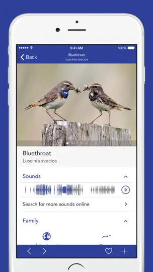 IKnow Birds LITE iPhone-skjermbilde 3