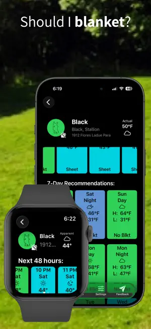 Blanket & Riding - Hot Horse screenshot 4