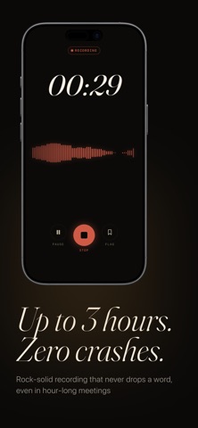 Dikta - Voice to Text screenshot