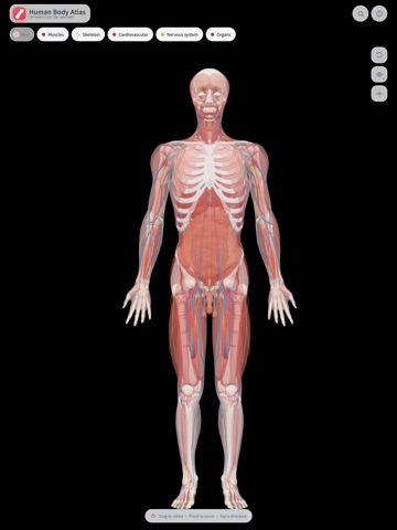 HumanBodyAtlas iPad screenshot