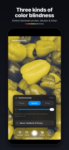 Color Blindness Camera Screenshot 2 of 6