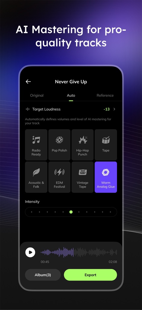 Vocal Remover - Musiclab - The app provides advanced AI mastering options, including various style presets like 'Radio Ready' and 'Warm Analog Glue', allowing users to achieve professional audio quality with adjustable intensity.