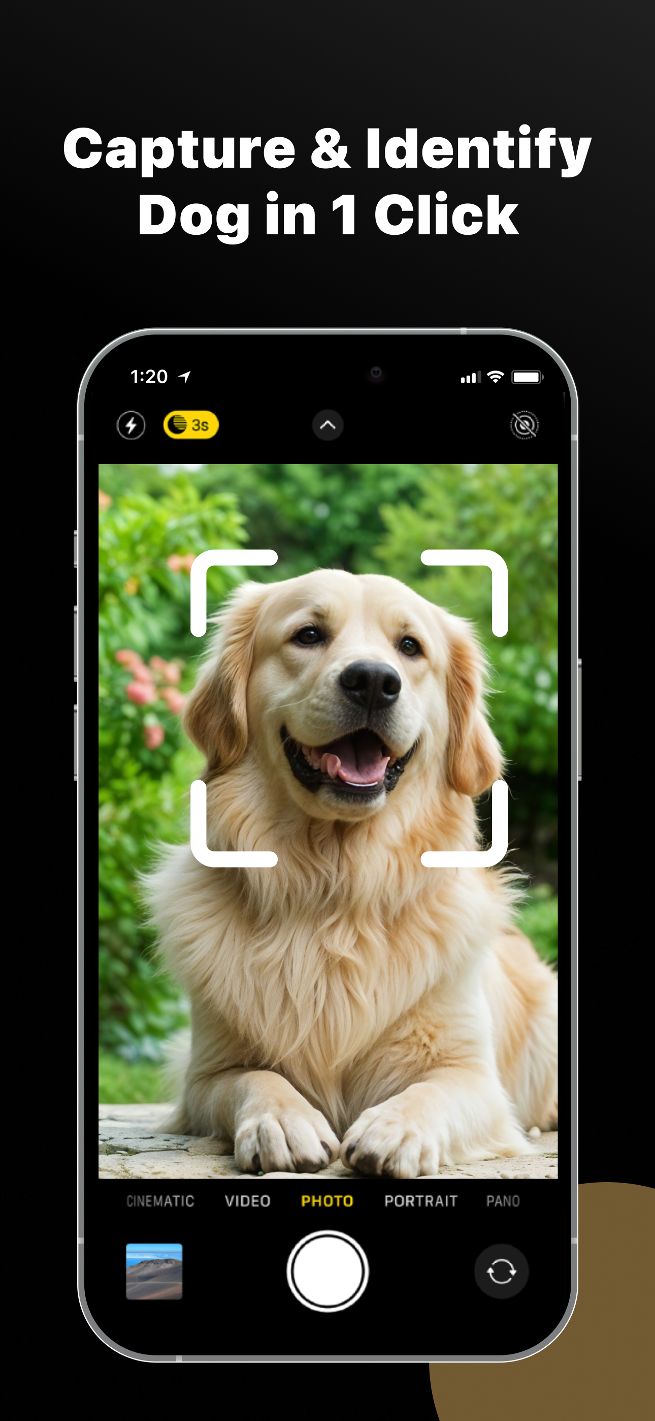 Dog Breed Identifier & Scanner