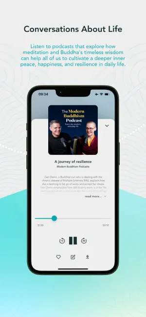 Modern Buddhism screenshot 4