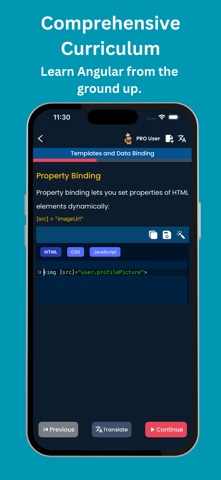 Learn Angular: Build Web Apps iPhone screenshot