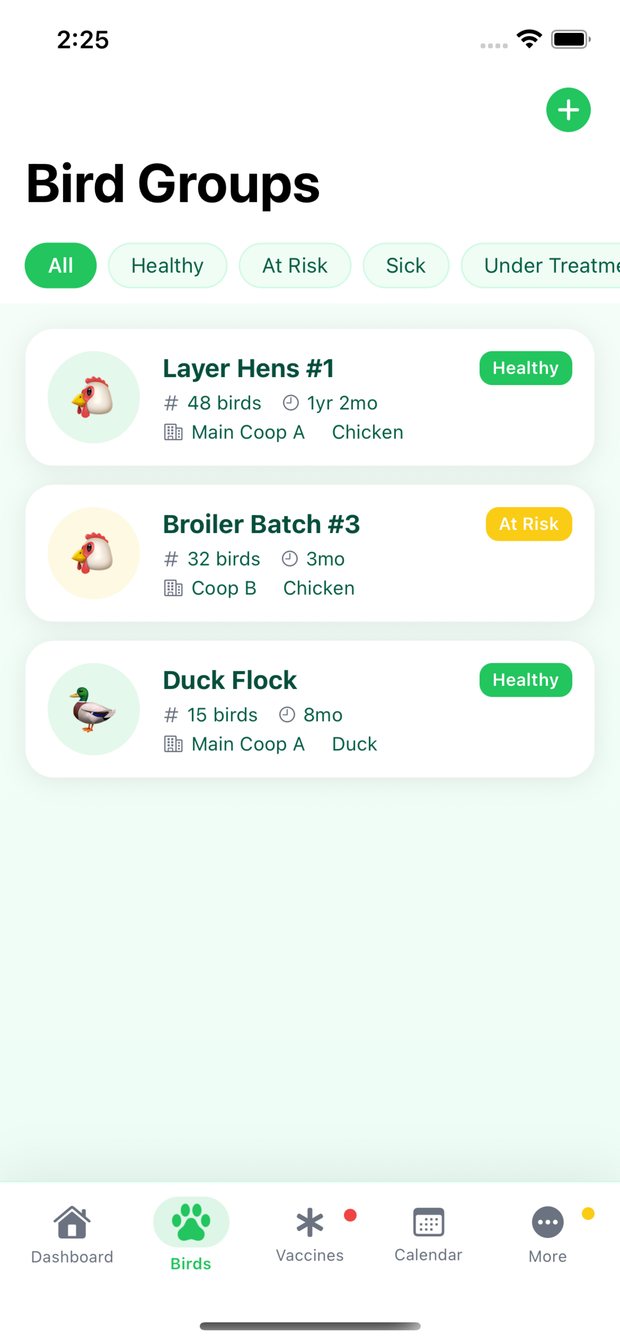 Bird Med screenshot 3