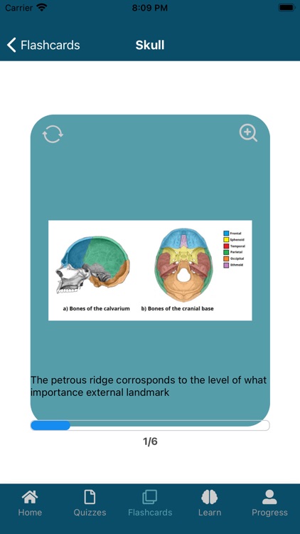UBC Human Anatomy App screenshot-4