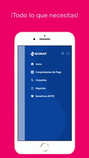 Emprender SUNAT screenshot 3