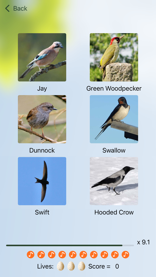 #6. Chirp! Bird Songs UK & Europe (iOS) 由: Spiny Software Ltd