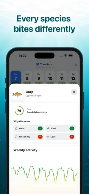 BiteRadar: Fishing Forecast iPhone screenshot 2