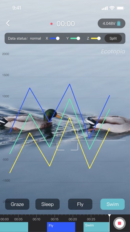 Ecotopia -Druid Animal Tracker