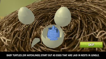 Wild Insect Family Life games Screenshot