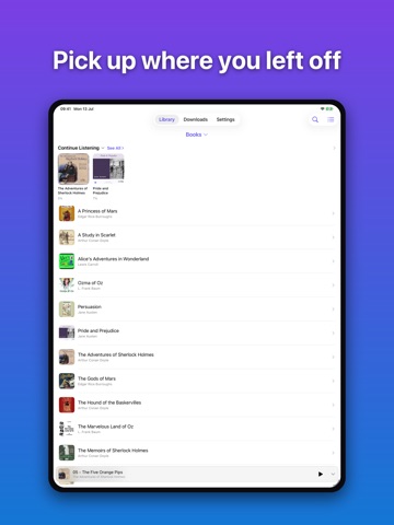 Audiofin iPad screenshot