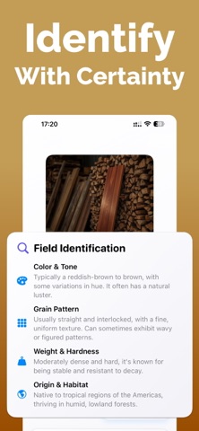 Wood Identifier: LumberID screenshot