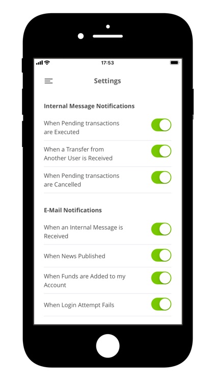 Vista Capital Trust screenshot-7