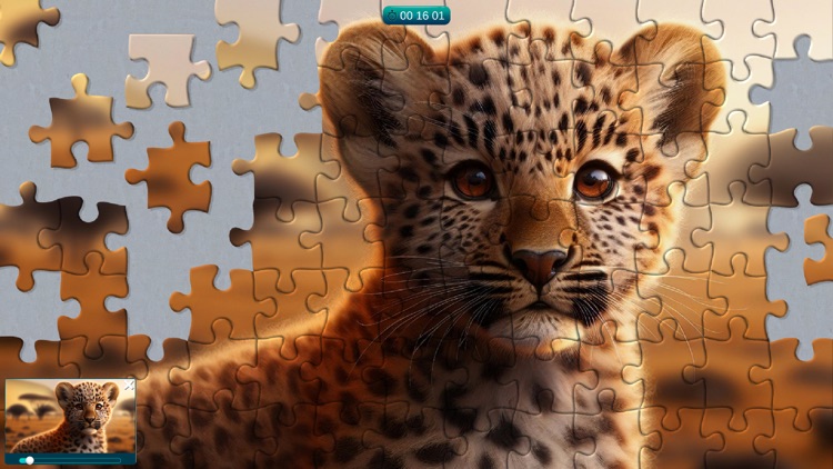 Cool Jigsaw Puzzle HD