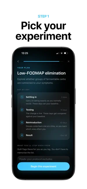 Gutli: Start Experimenting screenshot 2