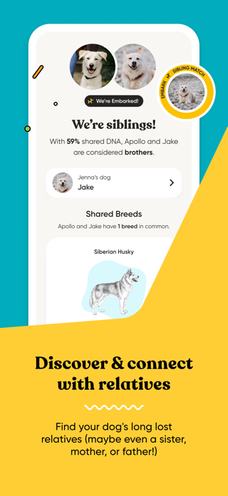 Embark Vet Screenshot 5 of 9