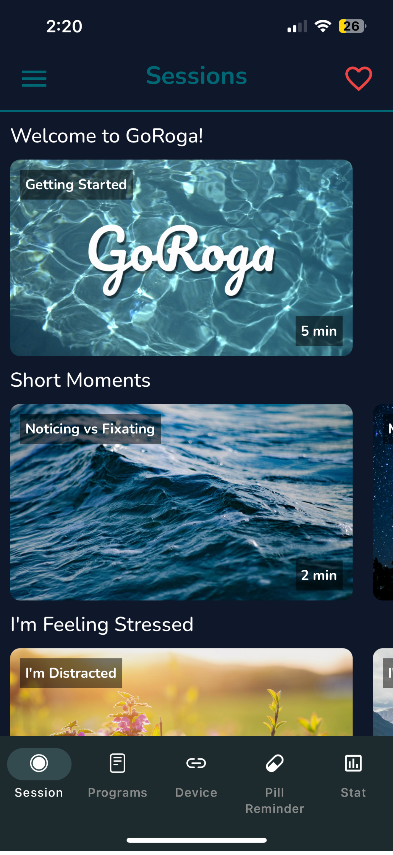 GoRoga