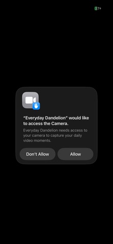 Everyday Dandelion screenshot