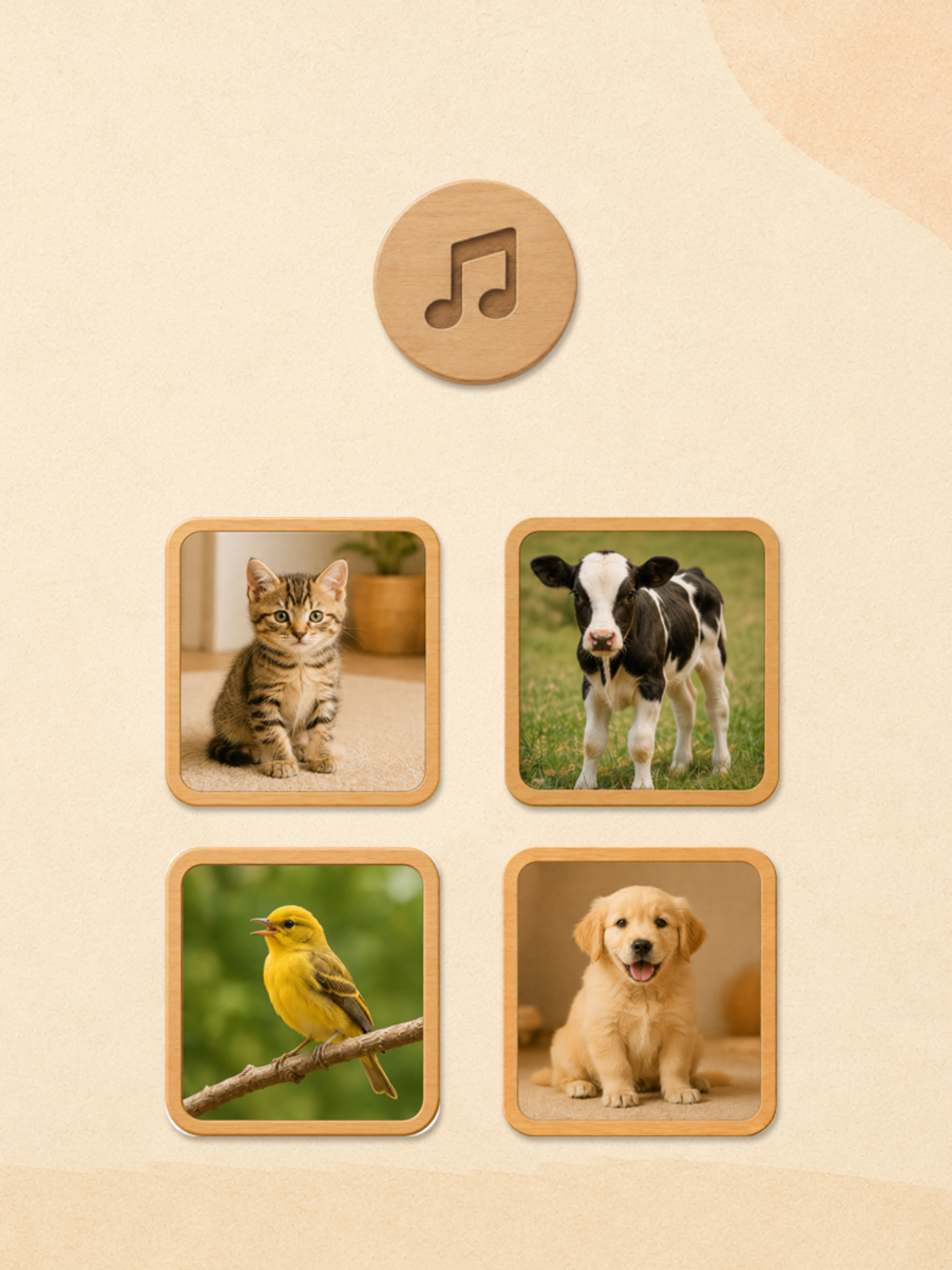 Montessori Learning Activities