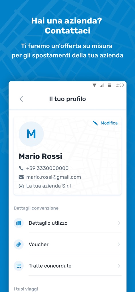 itTaxi - The profile section enables business users to review their account details and access comprehensive usage statistics.