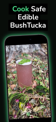 Bush Tucka Tracka iPhone screenshot