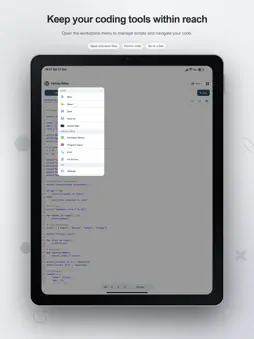 Python Editor: Code & Run screenshot 11
