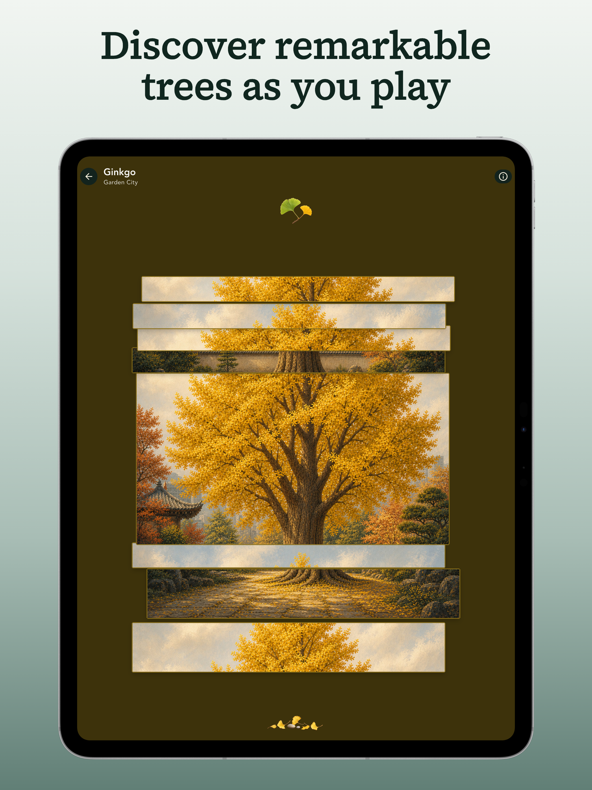 Grove: Botanical Art Puzzles screenshot 12