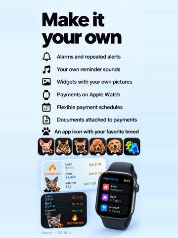 Payments reminder BillsOn iPad screenshot