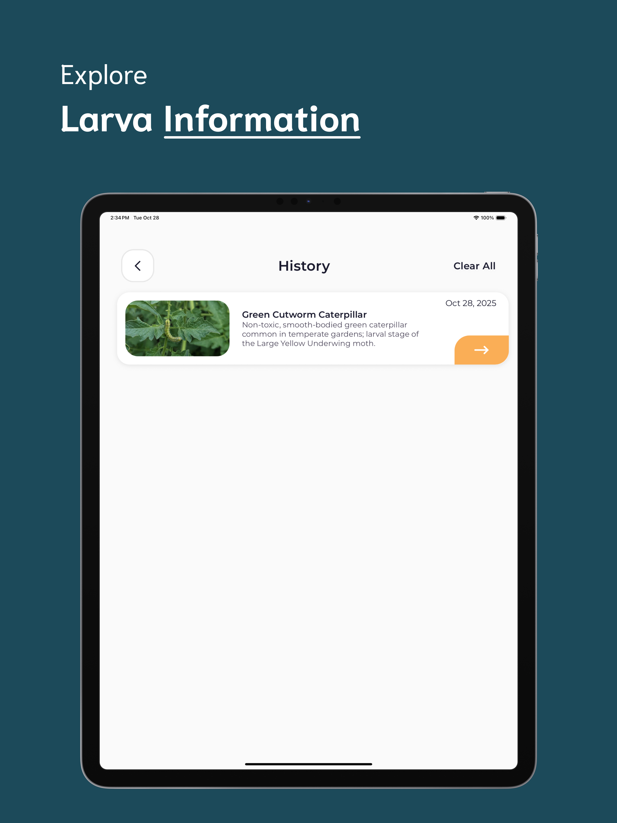 Caterpillar Identifier - CI