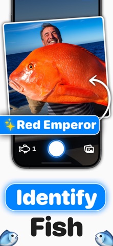 Fish Verify ° screenshot
